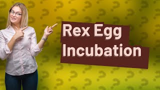 How to incubate a Rex Egg ark [upl. by Goody]