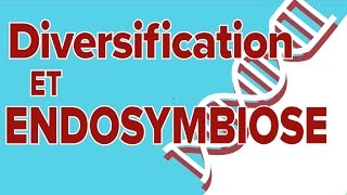 Diversification et Endosymbiose  4  SVT Terminale S  Mathrix [upl. by Draneb999]