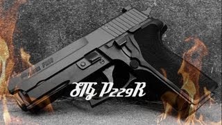 SIG Sauer P229 9mm Review [upl. by Yroger]