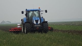 Groenbemester inwerken over de vorst New Holland T7030 BeBoMa Trekkerweb [upl. by Karolina466]