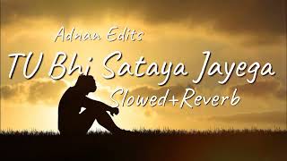 Tu Bhi Sataya Jayega Slowed reverb 🎧 song [upl. by Bethel]