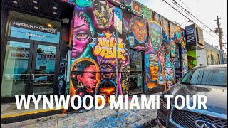 Miami Sunset Walk Tour Edgewater to Wynwood Art District [upl. by Odareg14]