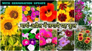 मार्च अप्रैल में लगाये इन् फूलों को  Top 20 Summer flowering plants From seed To saplings update [upl. by Cassandre334]