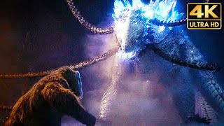 King Kong Meets Skar King amp Shimo 4K Full Fight Scene 2024 Godzilla x Kong The New Empire Movie [upl. by Bertolde227]