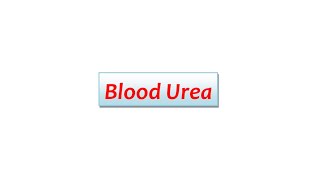 Blood Urea Test [upl. by Arras]