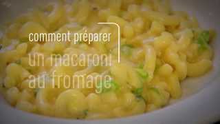 Cuisson 101  Macaroni au fromage rapide [upl. by Schaper]