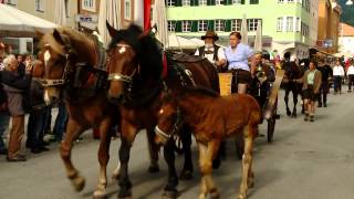 Norikerschau Lienz 2014 [upl. by Lloyd759]