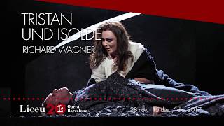 Tristan und Isolde 201617  Liebestod fragment [upl. by Ajnotal]