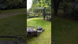 Freshly cut grass is the scent of a job well done Each stripe of the mower adds to the lawn’s charm [upl. by Hogan]