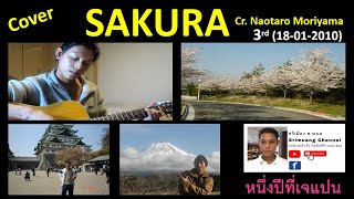 SAKURA 3rdNaotaro Moriyama cover by Srimuang Channel [upl. by Butta]