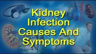 Kidney Infection Causes Symptoms  Glomerulonephritis and Pyelonephritis [upl. by Isidora]