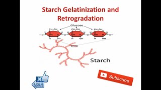 Starch Gelatinization and Retrogradation  Food Technology [upl. by Addy]