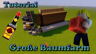 Minecraft 1165 Tutorial Große Baumfarm [upl. by Anivlek210]