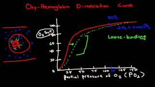 Oxygen Hemoglobin Dissociation Curve [upl. by Yeo]