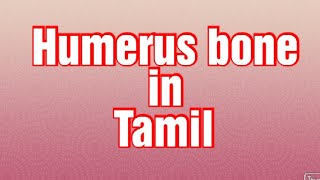 Humerus bone 🦴 explained in Tamil [upl. by Cressida]