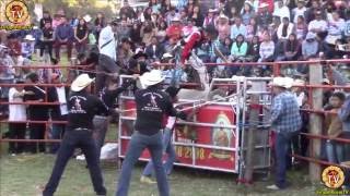 ¡¡SELECCION JALISCIENSE JARIPEO EN AROCUTIN MICHOACAN 26 DICIEMBRE 2016 [upl. by Fitzgerald978]