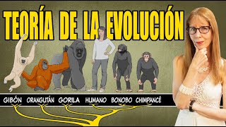 La TEORÍA de la EVOLUCIÓN explicada con claridad [upl. by Kathie523]