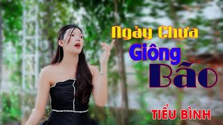 NGÀY CHƯA GIÔNG BÃO STPHAN MẠNH QUỲNH COVERTIỂU BÌNH [upl. by Selec]