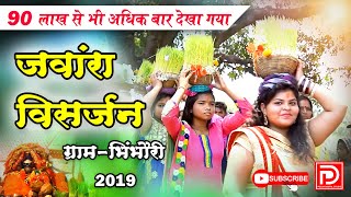 jawara visarjan bhimbhouri  जंवारा विसर्जन ग्राम भिंभौरी बेरला [upl. by Phaidra]