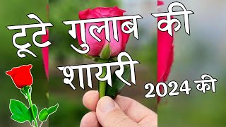 टूटे गुलाब की शायरी 2024 🌹Tute Gulab Ki Shayari 🌹 Gulab Shayari [upl. by Hacceber]