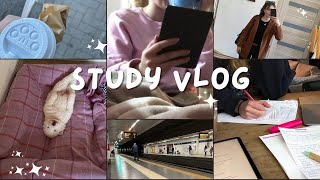 STUDY VLOG  addio 2023 benvenuto 2024 [upl. by Moitoso219]