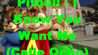 Pitbull  I Know You Want Me lyrics  mixed chipmunks [upl. by Hilaria166]