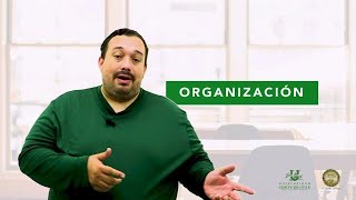 Que es una Organización [upl. by Kristian340]