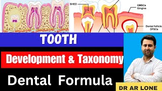 Tooth Development and Taxonomy  Growth  Types  Human Dentition  Dental FormulaBsc Zoology [upl. by Talbot]