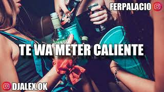 TE WA METER CALIENTE ✘ DJ ALEX ✘ FER PALACIO 2019 [upl. by Clapper]