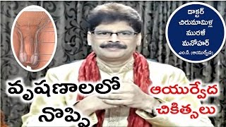 Scrotal Pain Causes and Ayurvedic Treatment in Telugu by Dr Murali Manohar Chirumamilla MD [upl. by Fanchette]