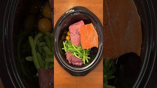 5 ingredient crockpot kibble recipe for dogs 🥘🐶 [upl. by Anreval]