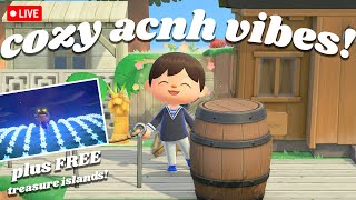 5 FREE treasure islands amp cozy building and decorating in animal crossing new horizons [upl. by Kella]