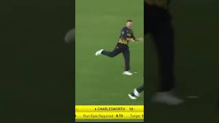 absolutely bonkers catch from Marnus Labuschagne in Englands T20Blast🤯 marnuslabuschagne cricket [upl. by Nosretep]