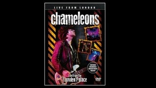 The Chameleons  Second Skin [upl. by Atinrev]