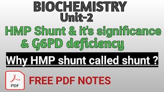 HMP Shunt  Hexose monophosphate shunt amp its significance  G6PH Deficiency  B pharmacy  2nd sem [upl. by Farver]