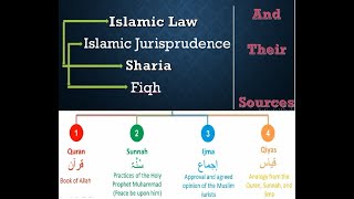 Islamic Studies Lecture For CSS amp competitive Exams  Lecture 2 Sources Of Islamic Law  ISL002​ [upl. by Annora]