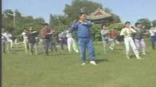 hunyuan taijiquan 24 forms by group [upl. by Takken]