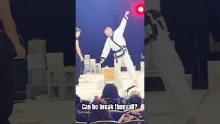 Testing Power  World Title Breaking Attempt  3 D Martial Arts Black Belt Breaking karate mma [upl. by Asilad213]