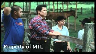 Tatlong Baraha  Part 58 2006 Movie  Lito Lapid Mark Lapid Maynard Lapid [upl. by Lienhard]