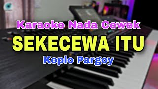 SEKECEWA ITU  KARAOKE LIRIK VERSI KOPLO  NADA CEWEK [upl. by Harry]