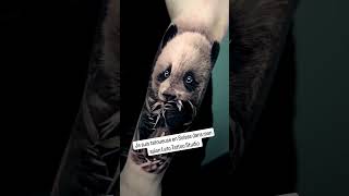 Quelques tatouages réalisés en 7h tattoo tattooideas animaux [upl. by Yolanthe]