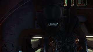 Finale Schaffen wir es auf die Torrens Alien Isolation 23 [upl. by Ameerahs]