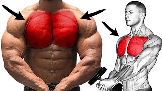 Chest Workout  Perfect Chest Exercises to Grow Big Thick Chest [upl. by Eignat832]