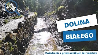 Dolina Białego i Sarnia Skała  W 5 MINUT O TATRACH odc3 [upl. by Spalla]