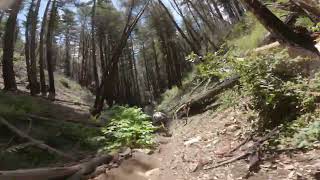 Crankcase UC Santa Cruz Mountain Biking chasing Eric [upl. by Senskell271]