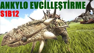 Ark Ankylo Evcilleştirme I Ark Ankylo Taming I ARK Survival Evolved  Ragnarok  S1B12 [upl. by Edythe770]