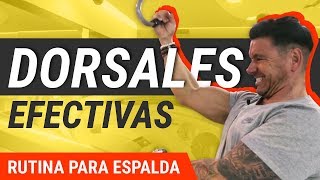 5 Mejores Ejercicios De Dorsales  Rutina De Entrenamiento [upl. by Edette]