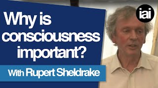 Why is Consciousness Important  Rupert Sheldrake [upl. by Kiley766]