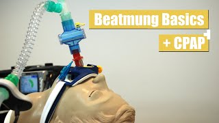 Beatmung  Was ist wenn die Luft wegbleibt [upl. by Cuda945]