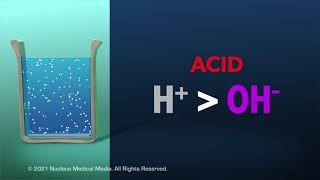 Acids and Bases [upl. by Sidonnie]